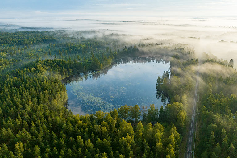 生态至上
绿色企业典范