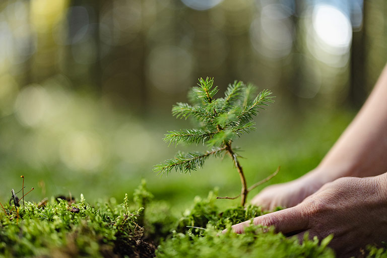 不忘初心
公益回馈社会